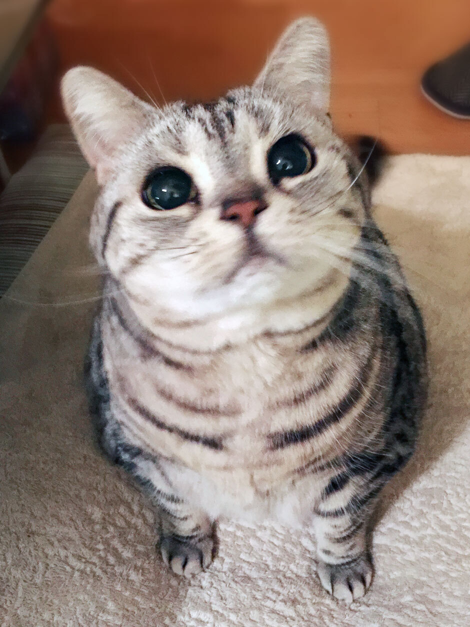 sumomo365_20171207_940.jpg