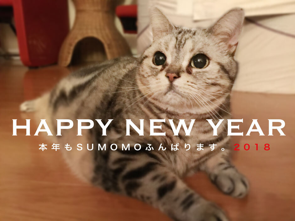 sumomo365_20180101_940.jpg