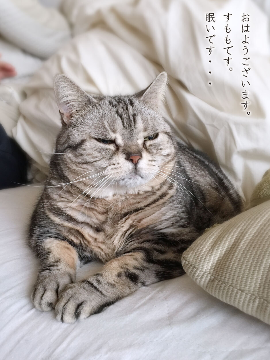 sumomo365_201804_get_up_sleep_00.jpg