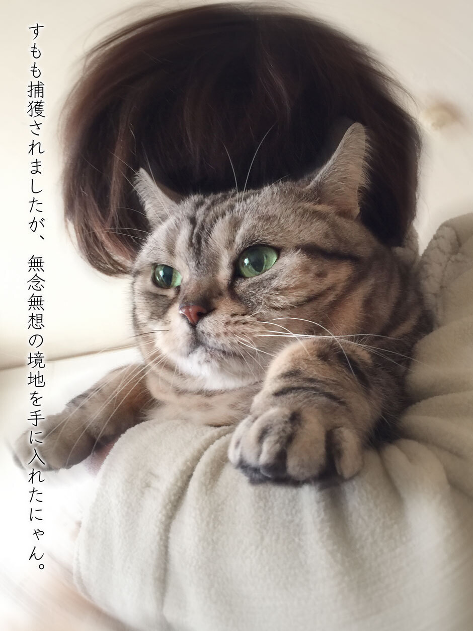 sumomo365_201804_munenmusou_01.jpg