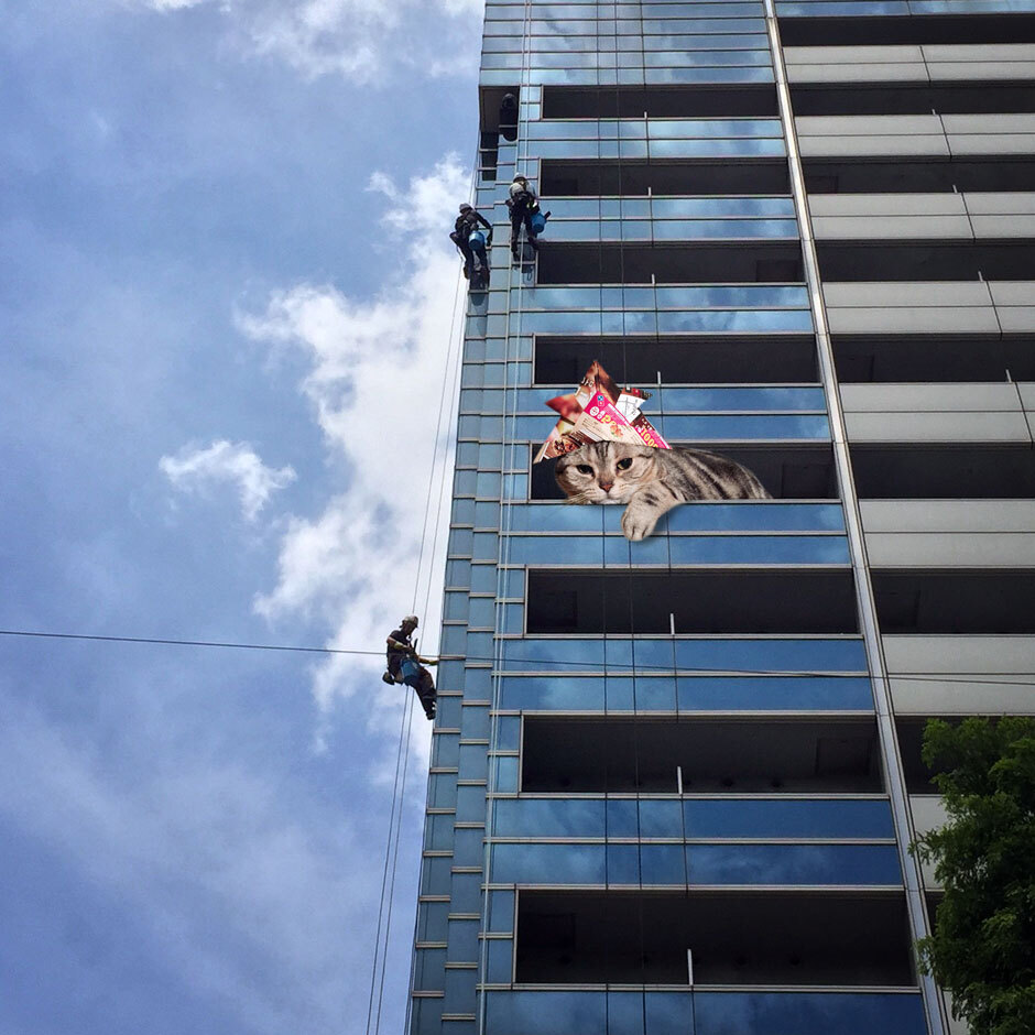 sumomo365_201806_building_01.jpg