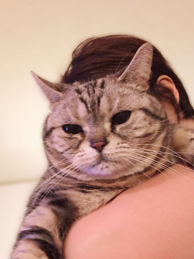 sumomo365_201807_Boss_mama00.jpg