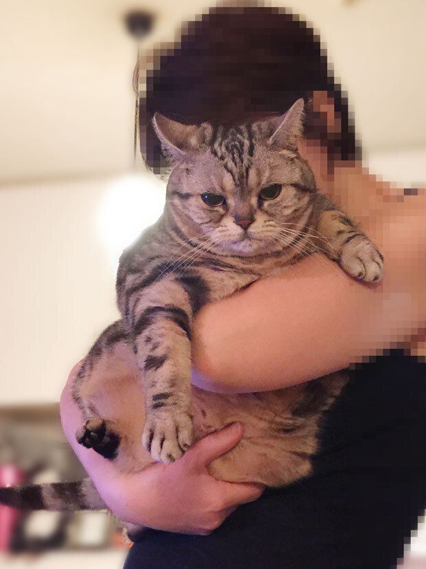 sumomo365_201807_Boss_mama03.jpg