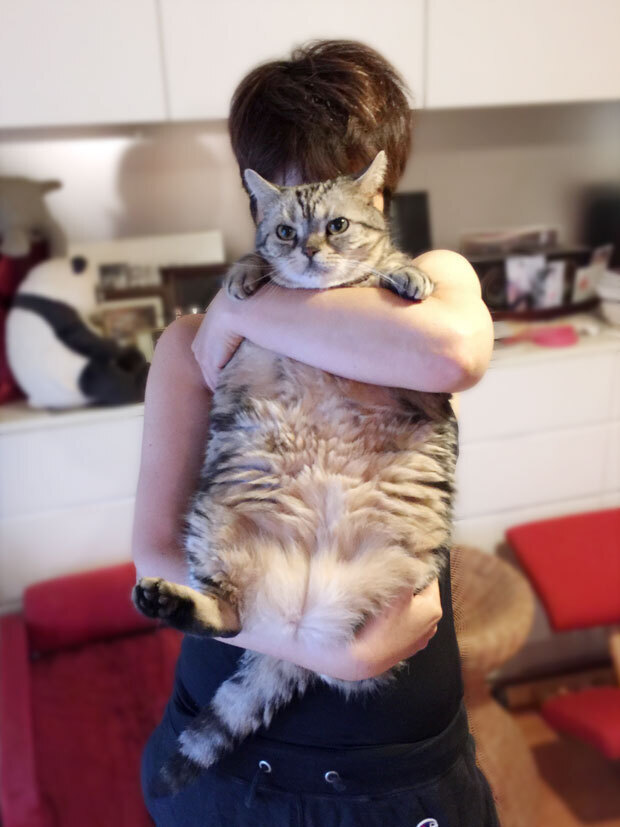 sumomo365_201808_Boss_mama00.jpg