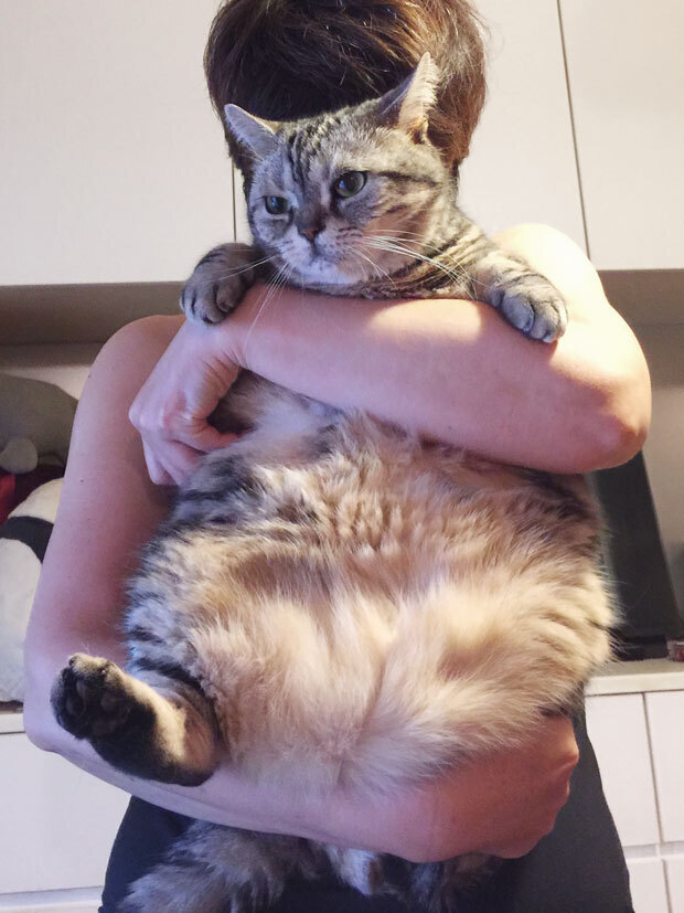 sumomo365_201808_Boss_mama01.jpg