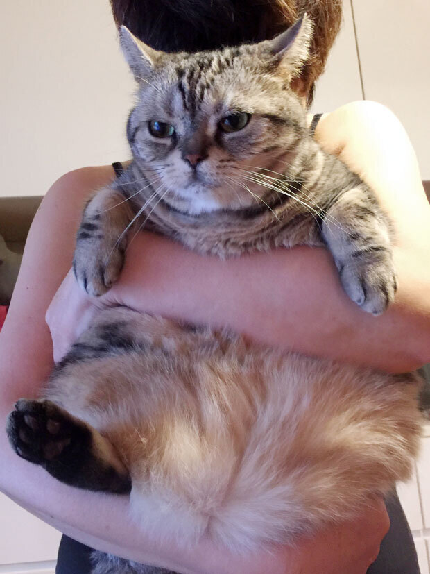 sumomo365_201808_Boss_mama02.jpg