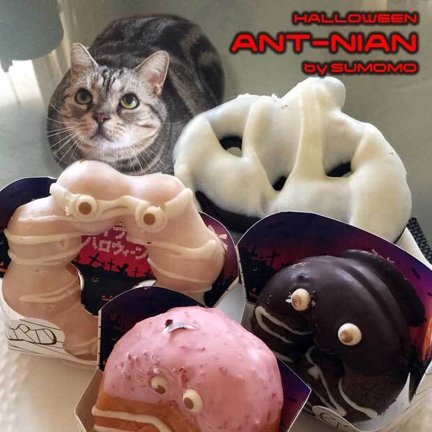 sumomo365_201810_HALLOWEEN_ANT_NIAN_02.jpg