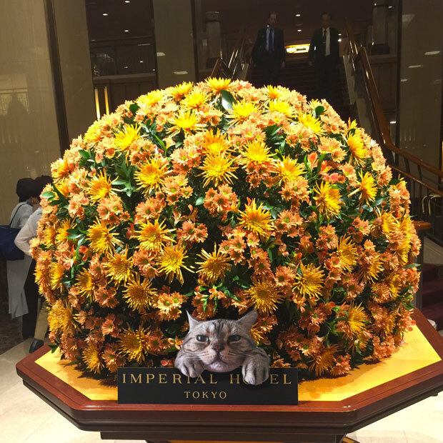 sumomo365_201810_Imperial_Hotel_02.jpg