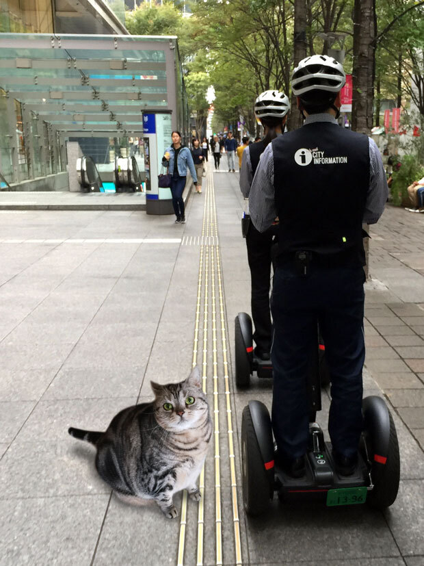 sumomo365_201810_Segway_02.jpg