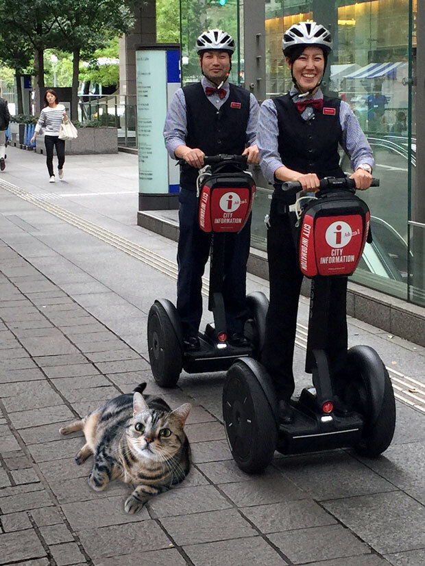 sumomo365_201810_Segway_03.jpg
