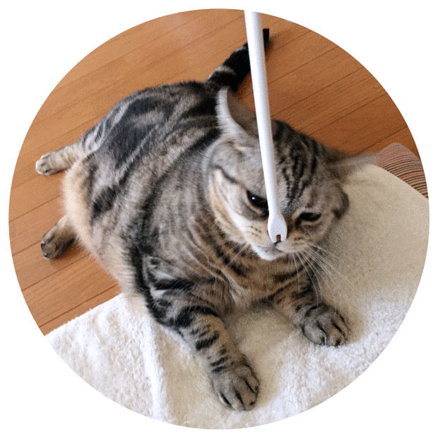 sumomo365_201811_fork_01.gif