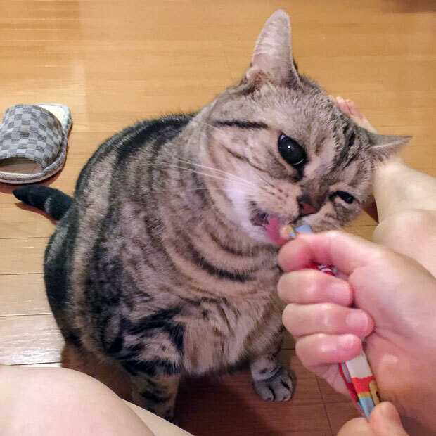 sumomo365_2018_Hand_type01.jpg