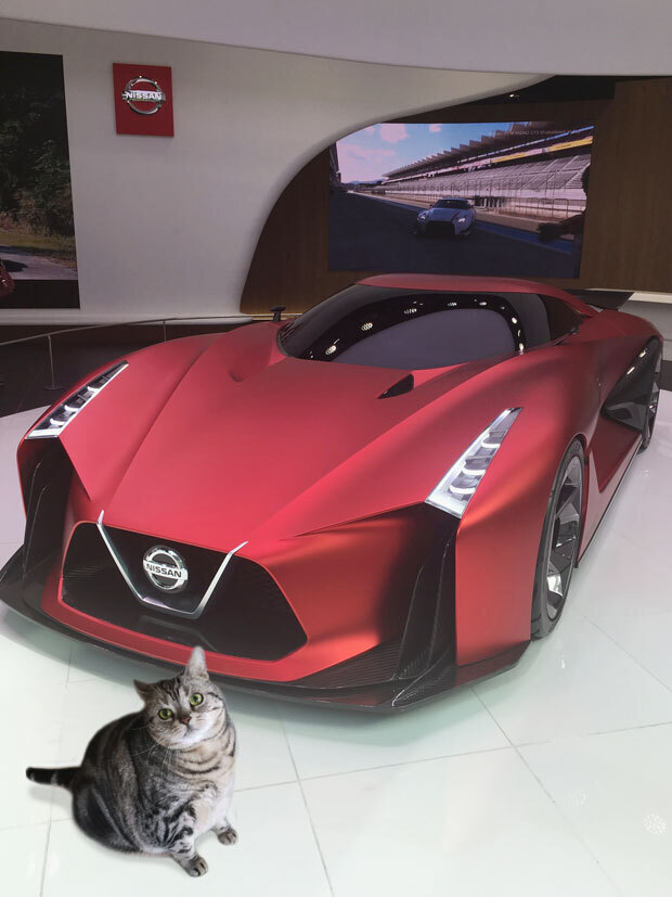 sumomo365_2018_NISSAN_CROSSING_02.jpg