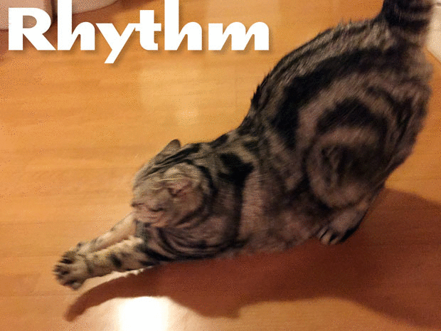 sumomo365_2018_Rhythm_00.gif