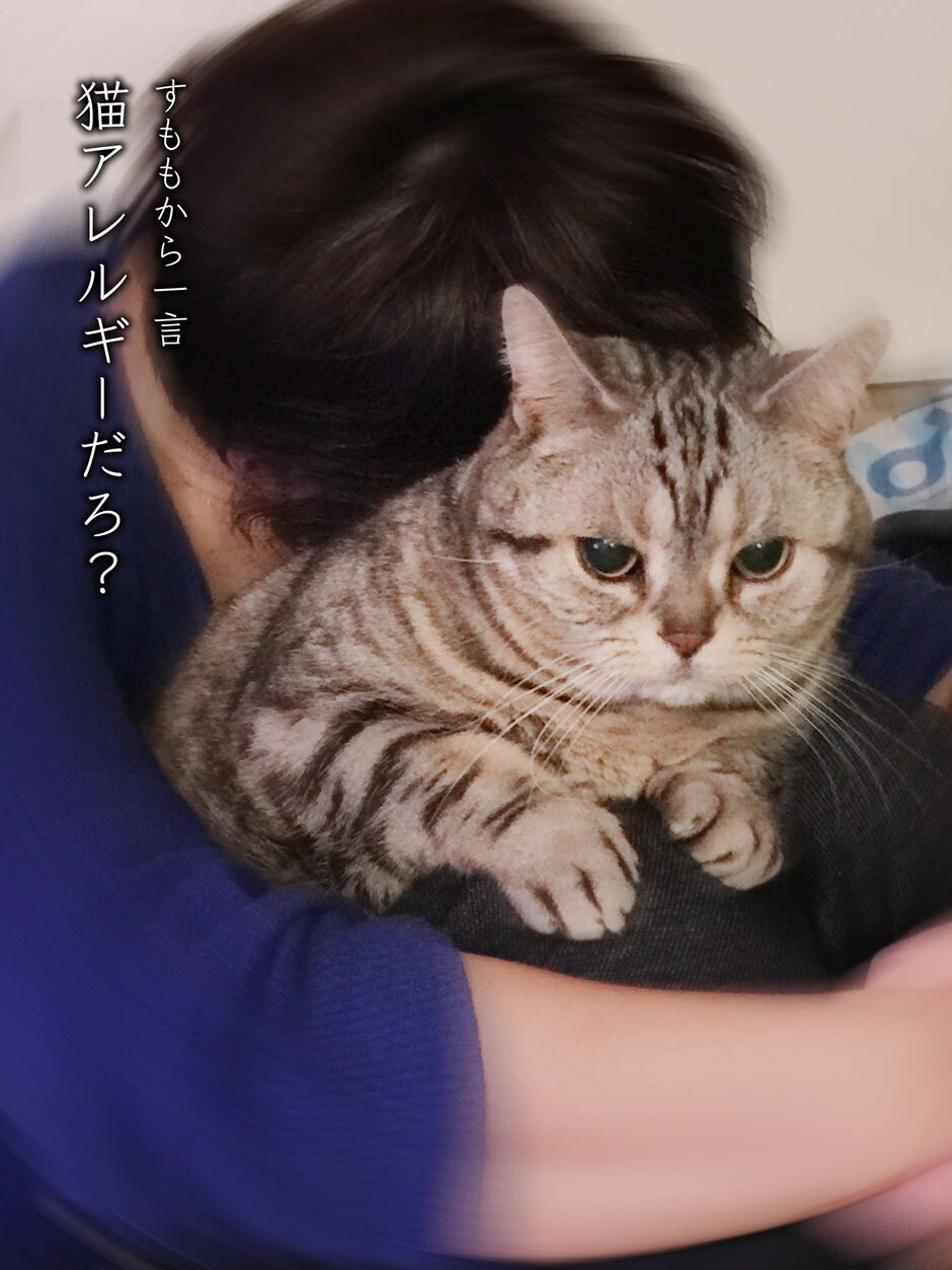 sumomo365_2018_allergy_01.jpg
