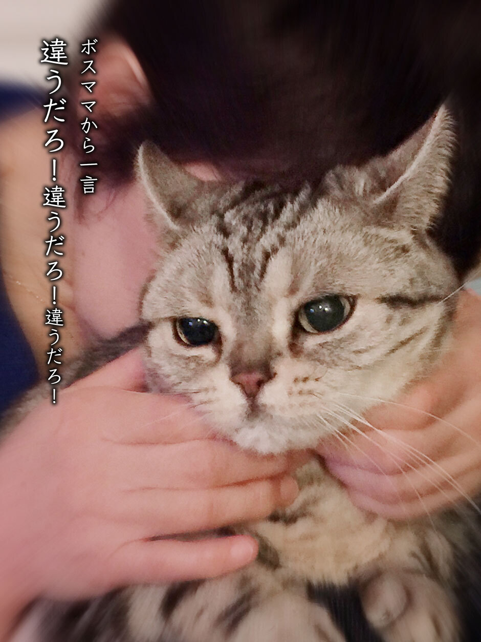 sumomo365_2018_allergy_02.jpg