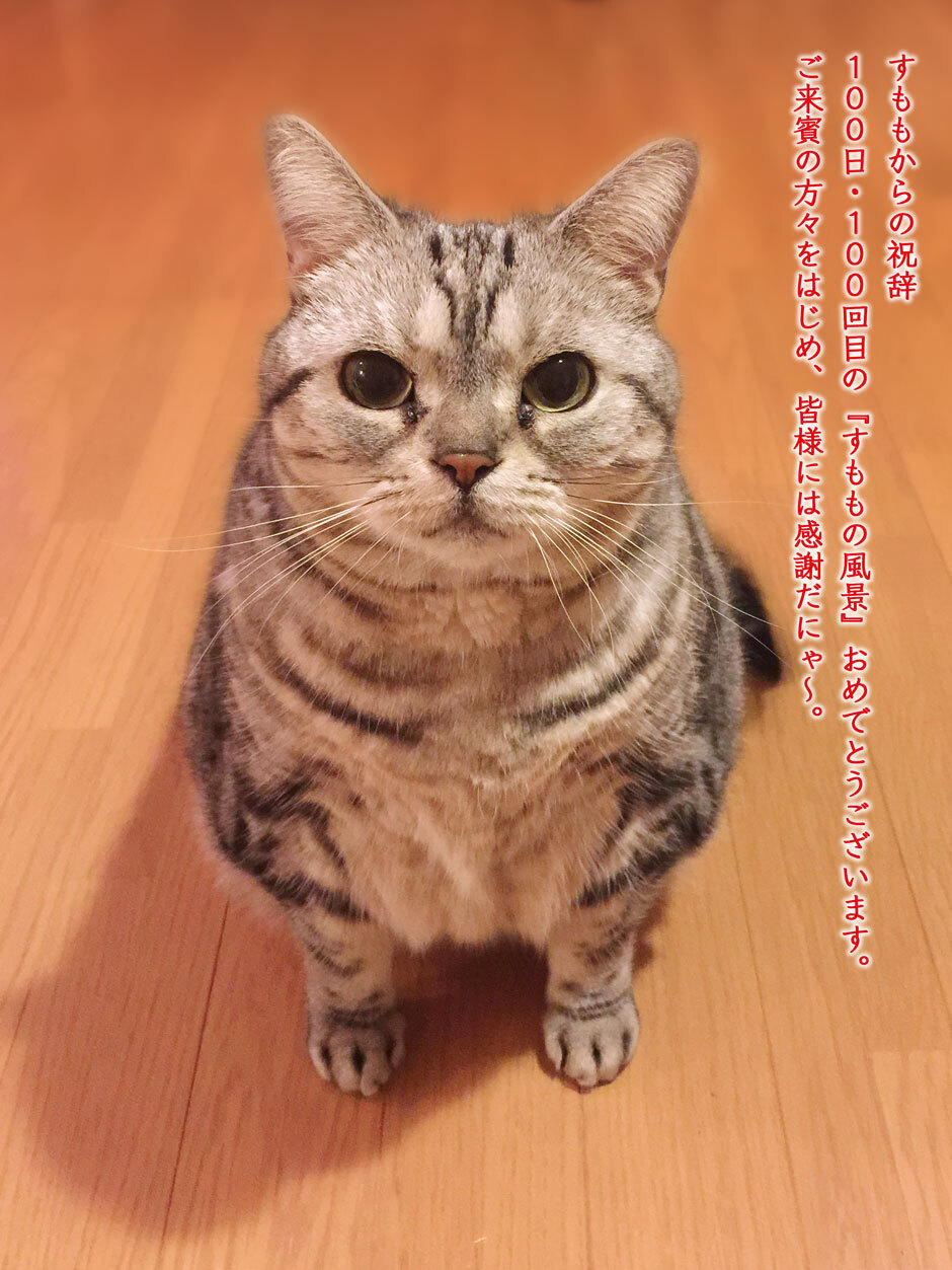 sumomo365_2018_anniversary_100_red.jpg