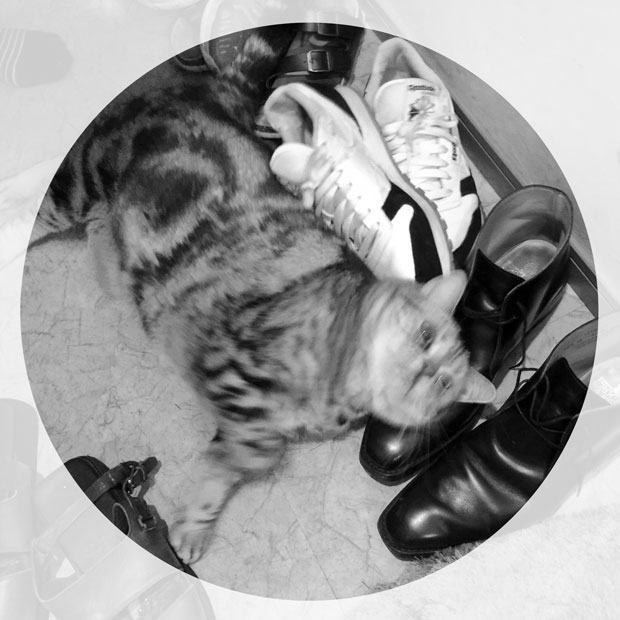 sumomo365_2018_shoe_polish_00.gif
