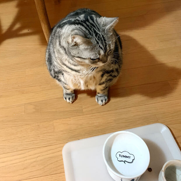 sumomo365_201901_New_Year_01a.jpg