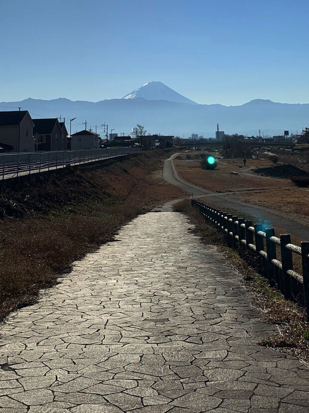 sumomo365_201901_New_Year_02.jpg