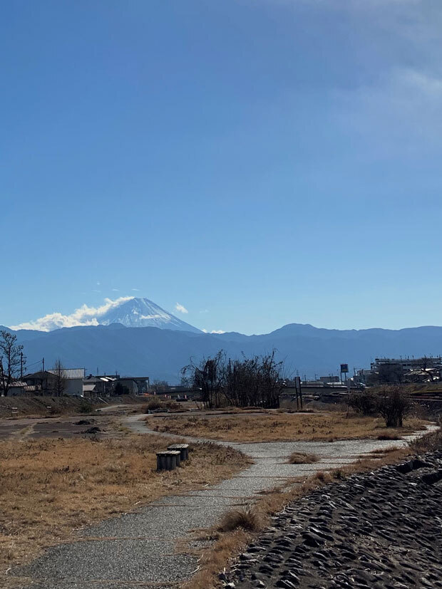sumomo365_201901_New_Year_03.jpg