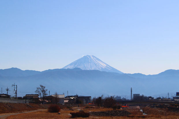 sumomo365_201901_New_Year_05.jpg