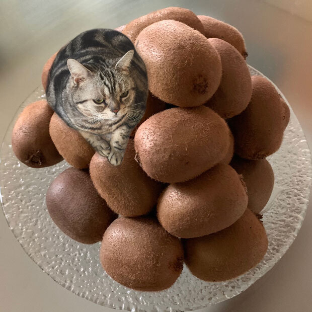 sumomo365_201901_kiwifruit_00b.jpg