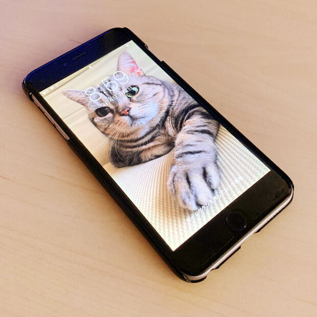sumomo365_201902_Smartphone_Cover_01.jpg