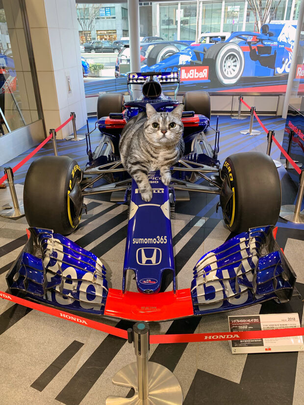 sumomo365_201903_HONDA_00.jpg
