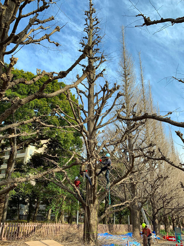 sumomo365_201903_kokuritu_st_02.jpg