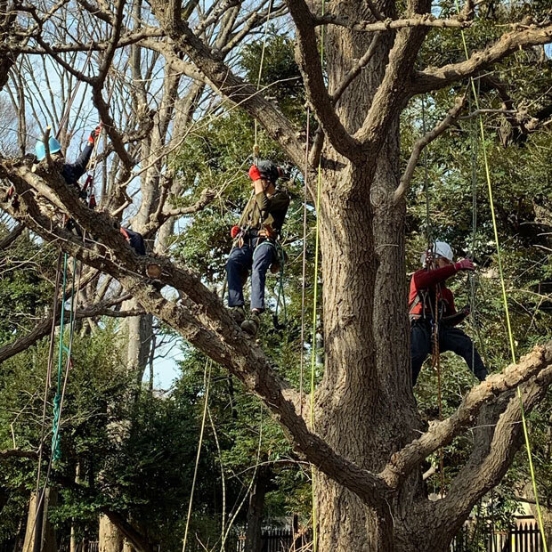 sumomo365_201903_kokuritu_st_05.jpg