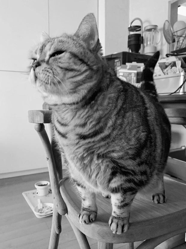 sumomo365_201903_kokuritu_st_07.jpg