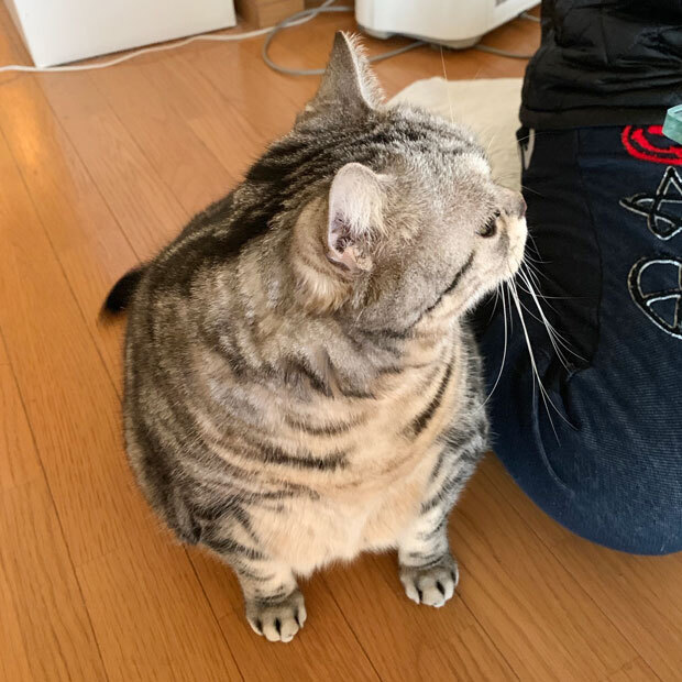 sumomo365_201903_naderu_00.jpg