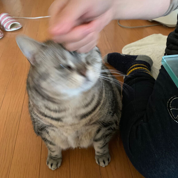 sumomo365_201903_naderu_02.jpg