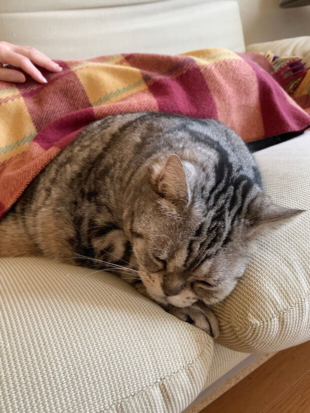 sumomo365_201904_Sleeping_00.jpg