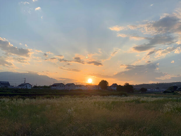 sumomo365_201906_kako_03.jpg