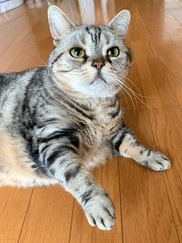 sumomo365_201906_kako_06.jpg