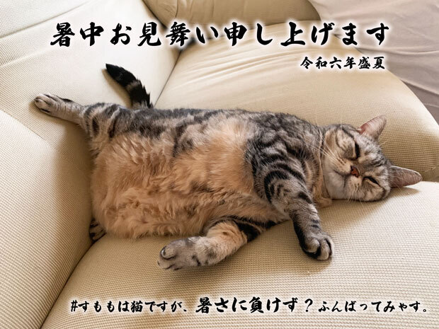 sumomo365_20190721_sleep_sofa_04d.jpg