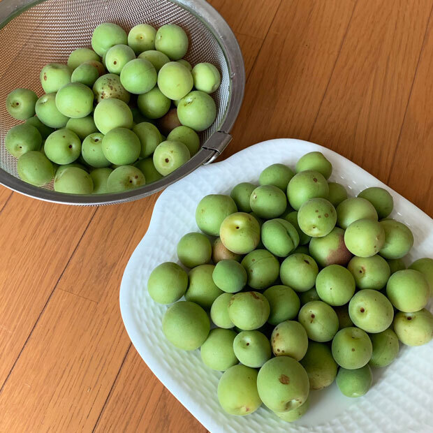 sumomo365_201907_Plum_work_01.jpg