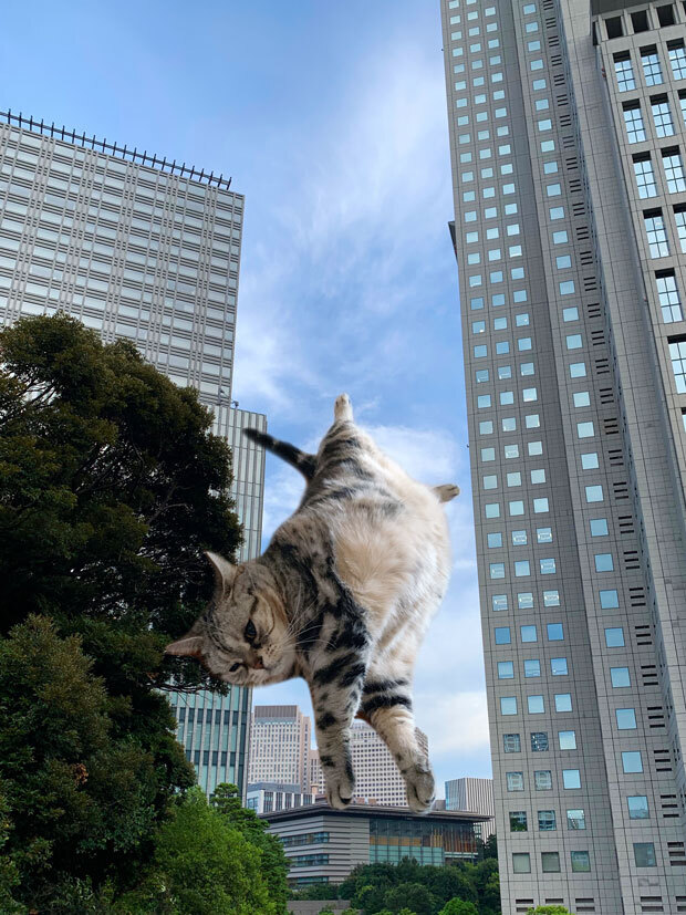 sumomo365_201908_Handstand_01.jpg