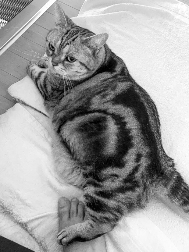 sumomo365_201908_Obon_00bw.jpg
