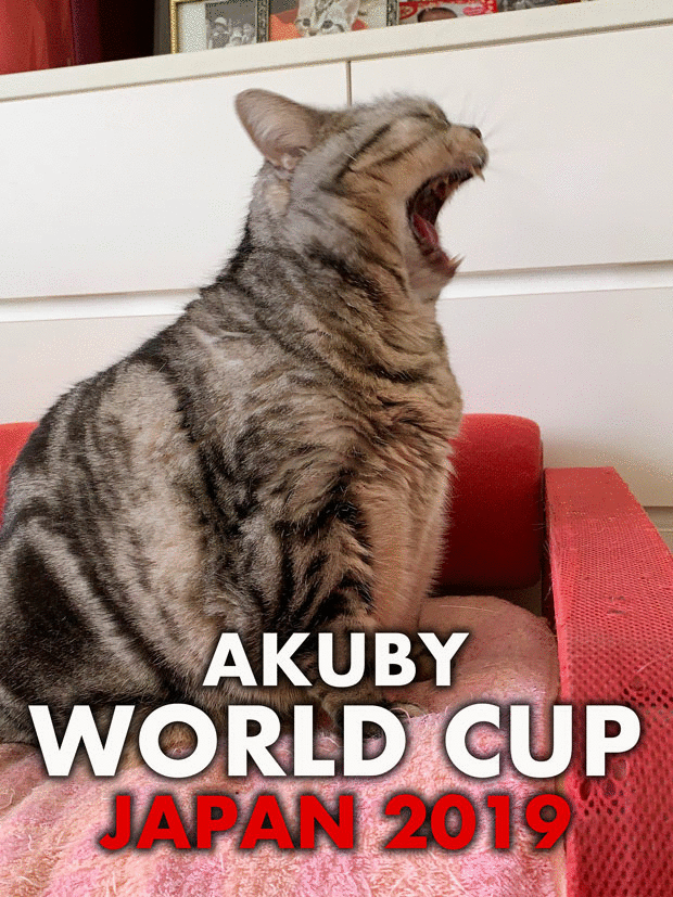 sumomo365_201909_rugby_wc_02_03.gif