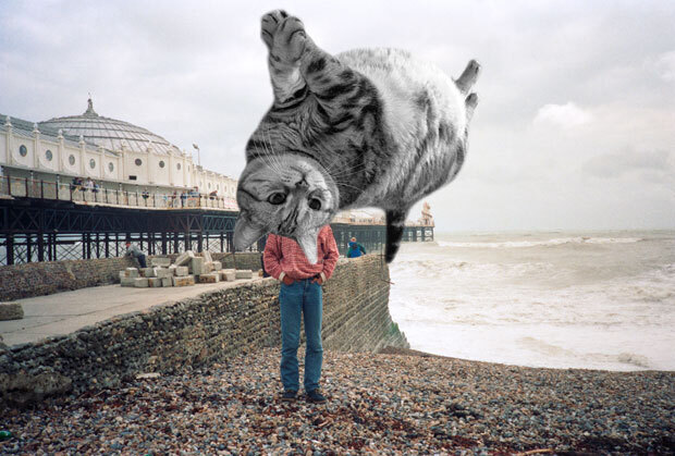 sumomo365_201910_Brighton_00b.jpg