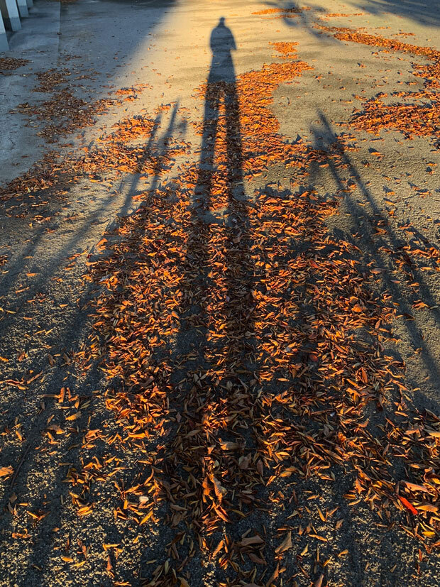 sumomo365_201911_Long_legs_00.jpg