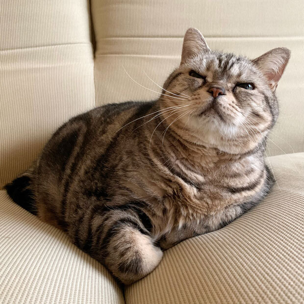 sumomo365_201911_okuritu_13.jpg