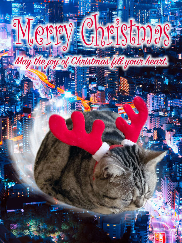 sumomo365_20191224_Merry_Christmas_00d.jpg