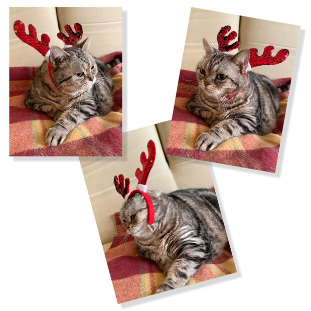 sumomo365_20191224_Merry_Christmas_07.jpg