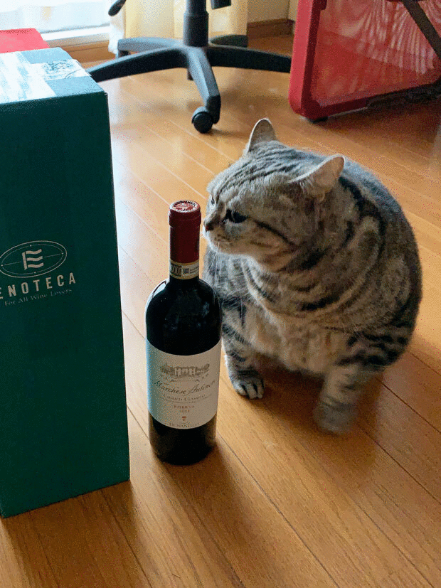sumomo365_201912_Wine_00_05.gif