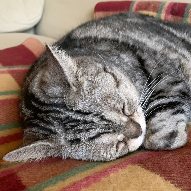 sumomo365_201912_sleep_03.jpg