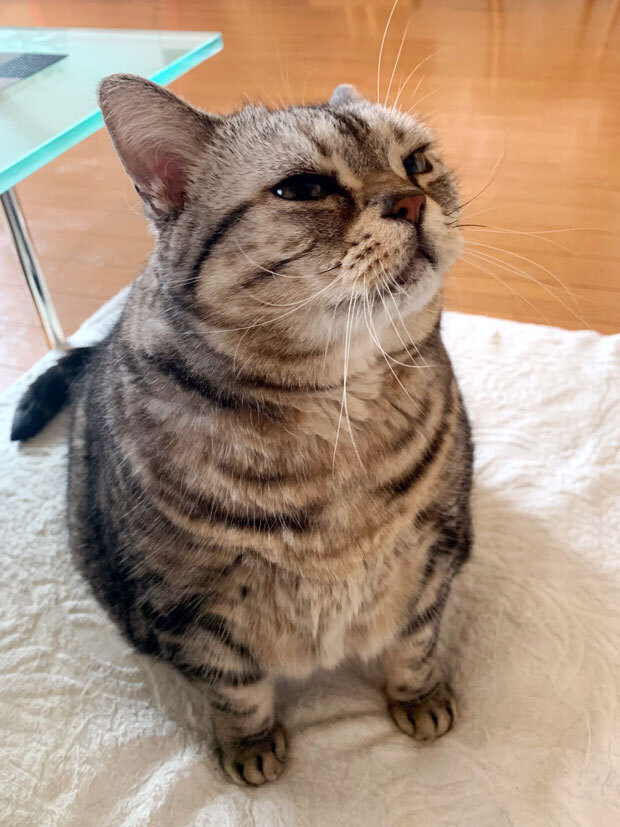 sumomo365_201912_wait_04.jpg